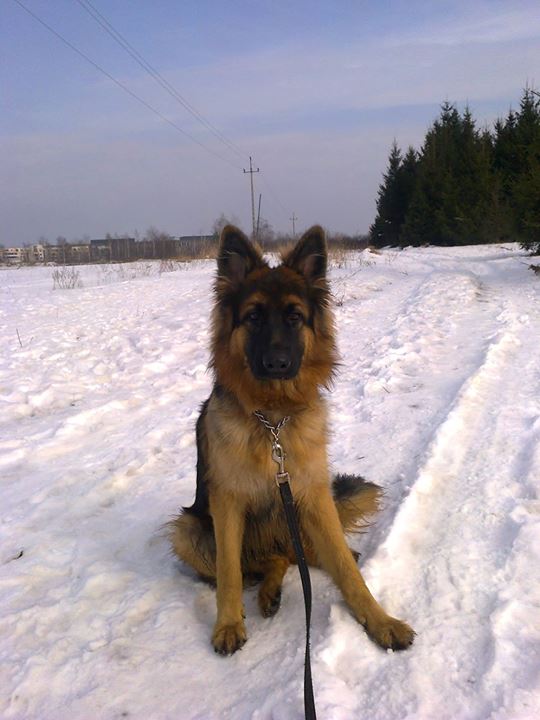 KARLLA z Zielonego Ursynowa
