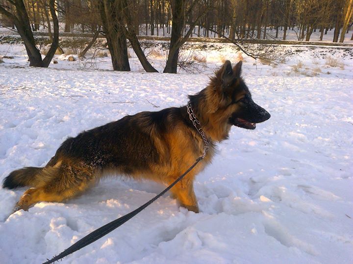 KARLLA z Zielonego Ursynowa